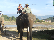 Tour Guide on Hightland South Mid Vietnam