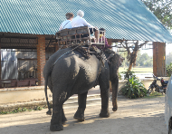 Tour Guide on Hightland South Mid Vietnam
