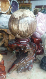 GỖ HOÁ THẠCH :  - Gỗ hoá thạch đỏ hợp với hành Hoả & Mộc.  T/d : dùng chữa các bệnh về sưng nóng, đỏ, đau (như các chứng viêm khớp có kèm sưng nóng), các bệnh thuộc tim mạch, huyết áp, giúp ổn định tinh thần. - Gỗ hoá thạch trắng hợp với hành Kim & Thuỷ. T/d: dùng chữa các bệnh thuộc đường hô hấp như viêm phế quản, viêm họng, viêm suyễn và viêm mũi dị ứng.  - Gỗ hoá thạch màu đen hợp hành Thuỷ & Mộc. T/d: dùng để để chữa các chứng bệnh thuộc Thận như suy yếu sinh dục (nam liệt dương, nữ lãnh cảm), hiếm muộn, viêm thận mãn, thường hay đau lưng nhức mỏi, giúp trừ chứng sợ hải vô cớ. - Gỗ hoá thạch màu vàng hợp hành Thổ & Kim.  T/d: dùng chữa các bệnh về Tỳ vị như rối loạn tiêu hóa, tiêu chảy thường xuyên, ăn uống không tiêu gầy yếu, chữa các chứng tê bại, giúp trừ chứng lo âu suy nghĩ vẩn vơ. GIÁ Inb....