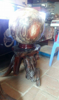 GỖ HOÁ THẠCH :  - Gỗ hoá thạch đỏ hợp với hành Hoả & Mộc.  T/d : dùng chữa các bệnh về sưng nóng, đỏ, đau (như các chứng viêm khớp có kèm sưng nóng), các bệnh thuộc tim mạch, huyết áp, giúp ổn định tinh thần. - Gỗ hoá thạch trắng hợp với hành Kim & Thuỷ. T/d: dùng chữa các bệnh thuộc đường hô hấp như viêm phế quản, viêm họng, viêm suyễn và viêm mũi dị ứng.  - Gỗ hoá thạch màu đen hợp hành Thuỷ & Mộc. T/d: dùng để để chữa các chứng bệnh thuộc Thận như suy yếu sinh dục (nam liệt dương, nữ lãnh cảm), hiếm muộn, viêm thận mãn, thường hay đau lưng nhức mỏi, giúp trừ chứng sợ hải vô cớ. - Gỗ hoá thạch màu vàng hợp hành Thổ & Kim.  T/d: dùng chữa các bệnh về Tỳ vị như rối loạn tiêu hóa, tiêu chảy thường xuyên, ăn uống không tiêu gầy yếu, chữa các chứng tê bại, giúp trừ chứng lo âu suy nghĩ vẩn vơ. GIÁ Inb....