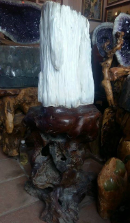 GỖ HOÁ THẠCH :  - Gỗ hoá thạch đỏ hợp với hành Hoả & Mộc.  T/d : dùng chữa các bệnh về sưng nóng, đỏ, đau (như các chứng viêm khớp có kèm sưng nóng), các bệnh thuộc tim mạch, huyết áp, giúp ổn định tinh thần. - Gỗ hoá thạch trắng hợp với hành Kim & Thuỷ. T/d: dùng chữa các bệnh thuộc đường hô hấp như viêm phế quản, viêm họng, viêm suyễn và viêm mũi dị ứng.  - Gỗ hoá thạch màu đen hợp hành Thuỷ & Mộc. T/d: dùng để để chữa các chứng bệnh thuộc Thận như suy yếu sinh dục (nam liệt dương, nữ lãnh cảm), hiếm muộn, viêm thận mãn, thường hay đau lưng nhức mỏi, giúp trừ chứng sợ hải vô cớ. - Gỗ hoá thạch màu vàng hợp hành Thổ & Kim.  T/d: dùng chữa các bệnh về Tỳ vị như rối loạn tiêu hóa, tiêu chảy thường xuyên, ăn uống không tiêu gầy yếu, chữa các chứng tê bại, giúp trừ chứng lo âu suy nghĩ vẩn vơ. GIÁ Inb....